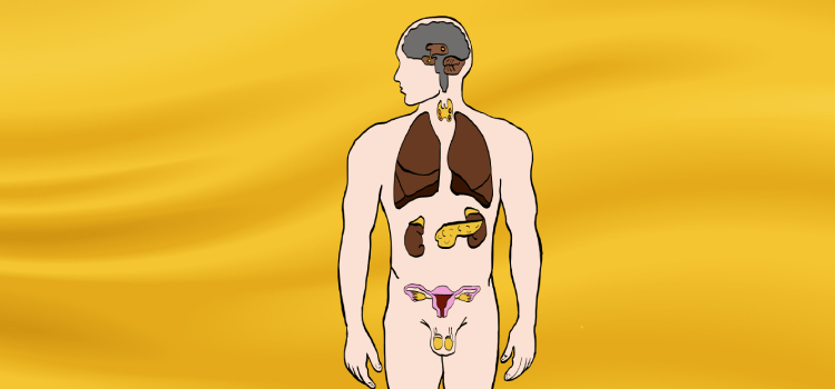 Enfermedades de las glándulas endócrinas