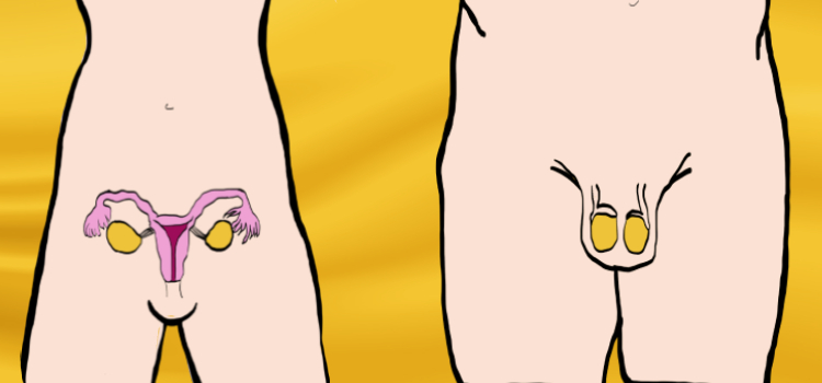 Enfermedades de las glándulas sexuales